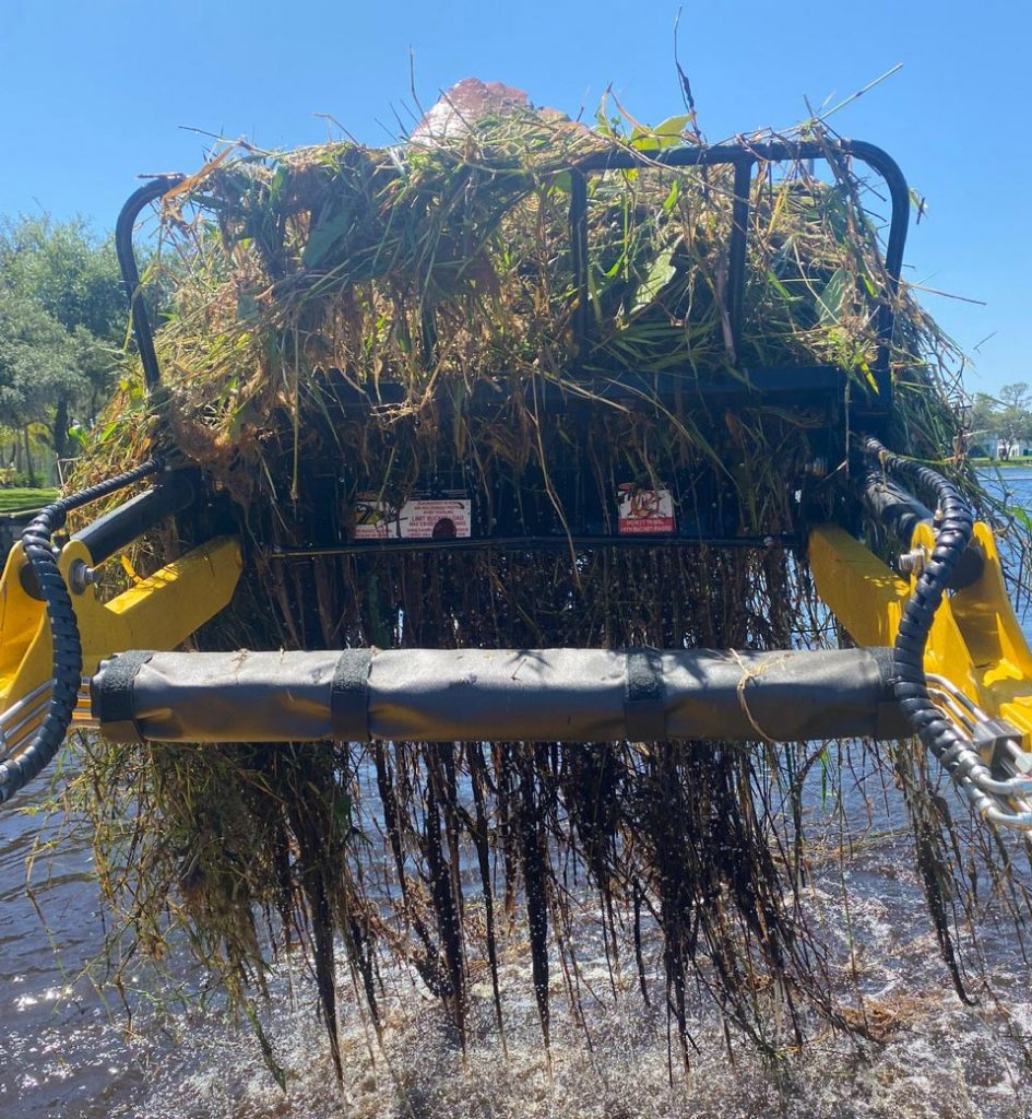 Lake weed removal